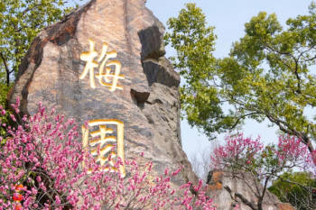 mei-yuan-thumb-promo-230731